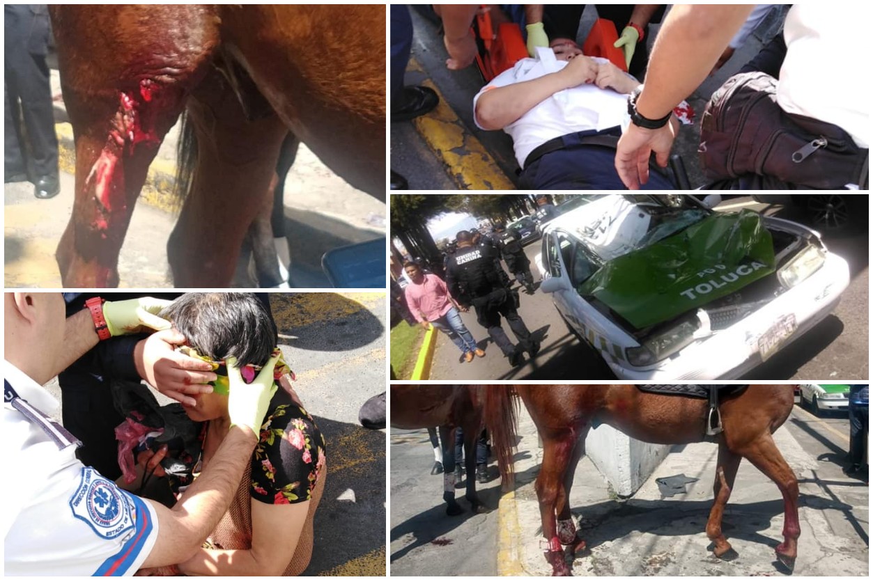 Celebración del equipo Morelia provoca estampida de caballos en Toluca #regionmx