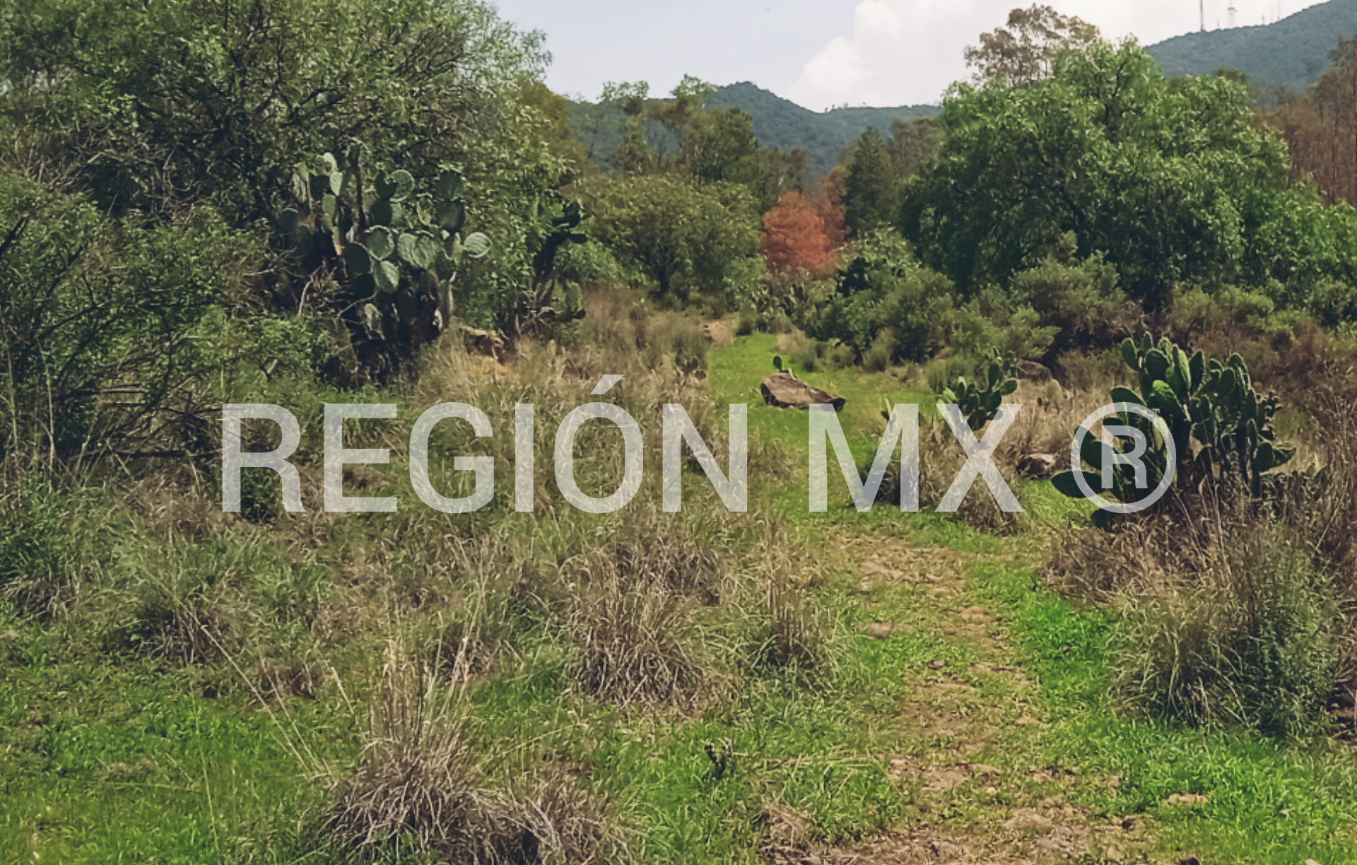 Reportan robos en la Sierra de Guadalupe; así operan #regionmx