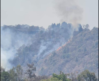 Se incendian 25 hectáreas forestales en Huixquilucan  #regionmx