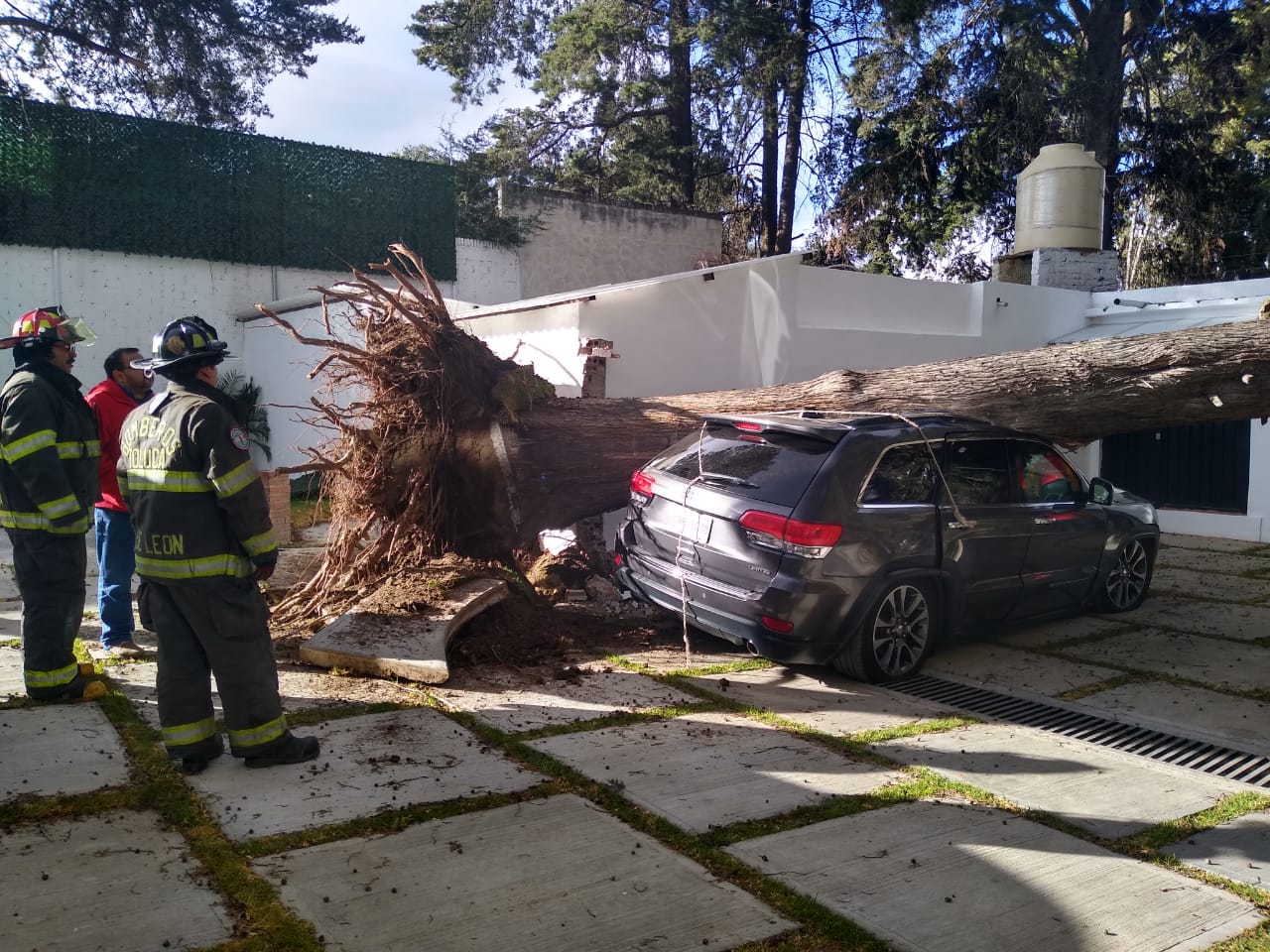 Fuertes vientos provocan la caída de varios árboles en Toluca #regionmx