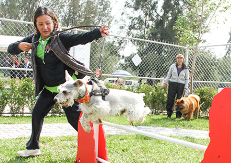 Abre parque para perros Purina en el Espejo de los Lirios #regionmx