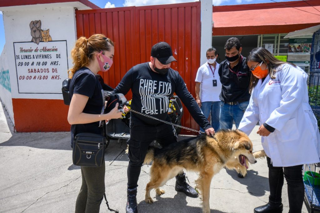 Consultas gratuitas y adopciones continúan en el Centro de Bienestar Animal Coacalco #regionmx