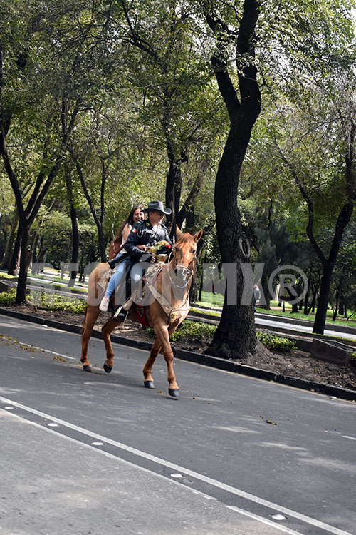 Durante la demostración de habilidades, un caballo derrapó y el jinete cayó del mismo #regionmx
