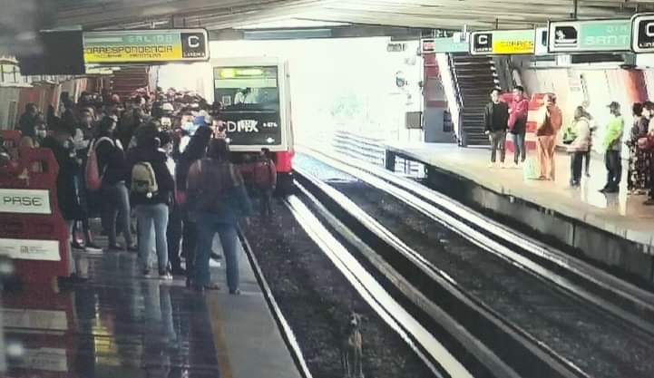 Sujeto rescata perro de las vías del metro #regionmx 