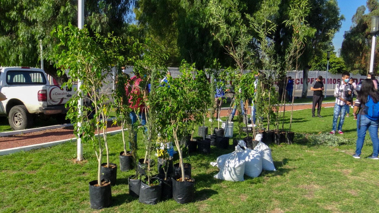 Inicia reforestación en camellones y parques de Coacalco #regionmx