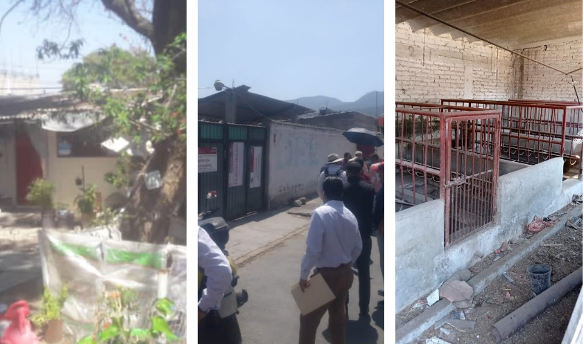 Clausuran granja de puercos clandestina en Coacalco #regionmx