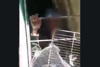 Abuelita es rescatada de casa de su nieto, tras gritos de auxilio #regionmx