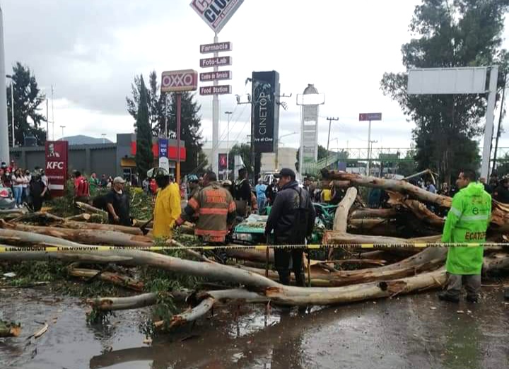 Pasajeros de auto quedan atrapados por árbol caído en Ecatepec #regionmx 