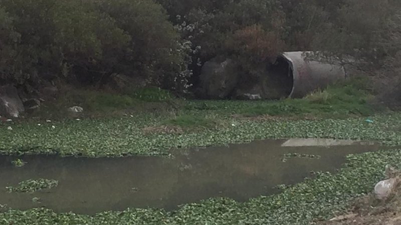 CNDH emite recomendación a autoridades federales y del EdoMéx por contaminación de Presa Madín #regionmx