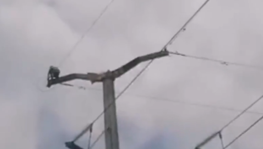 Hombre se lanza al vacío desde poste de luz en la Naucalpan-Toluca #regionmx