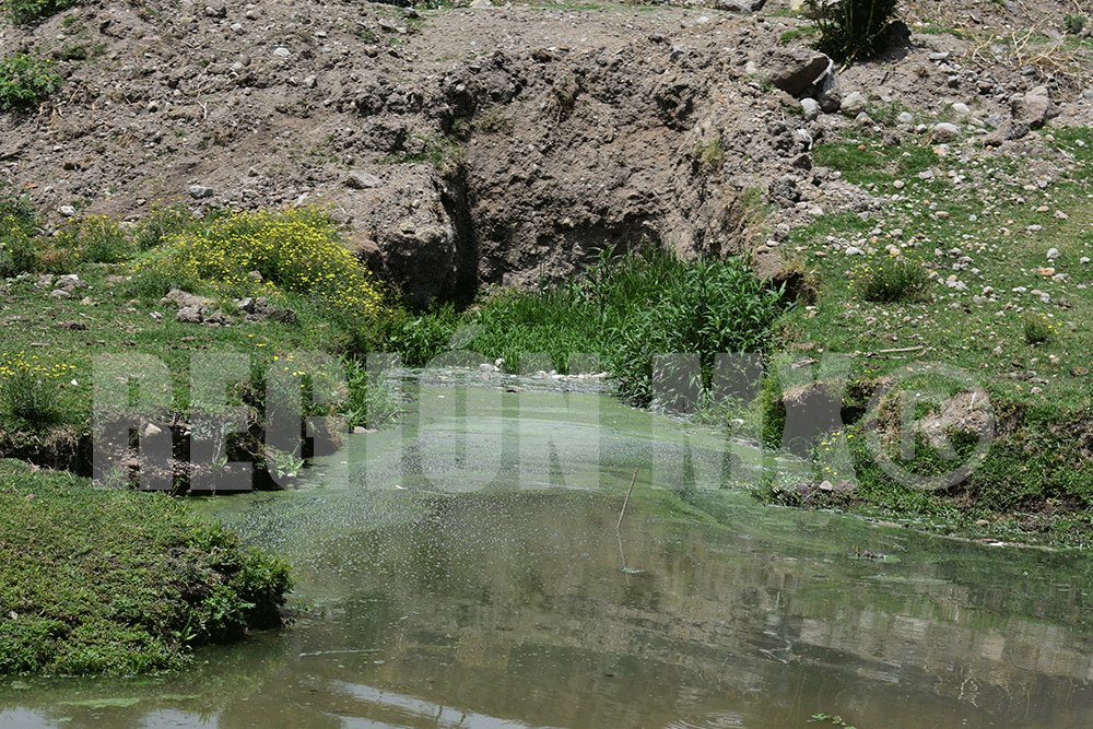 Relleno sanitario en Naucalpan está provocando aún más contaminación en la Presa Madín #regionmx 