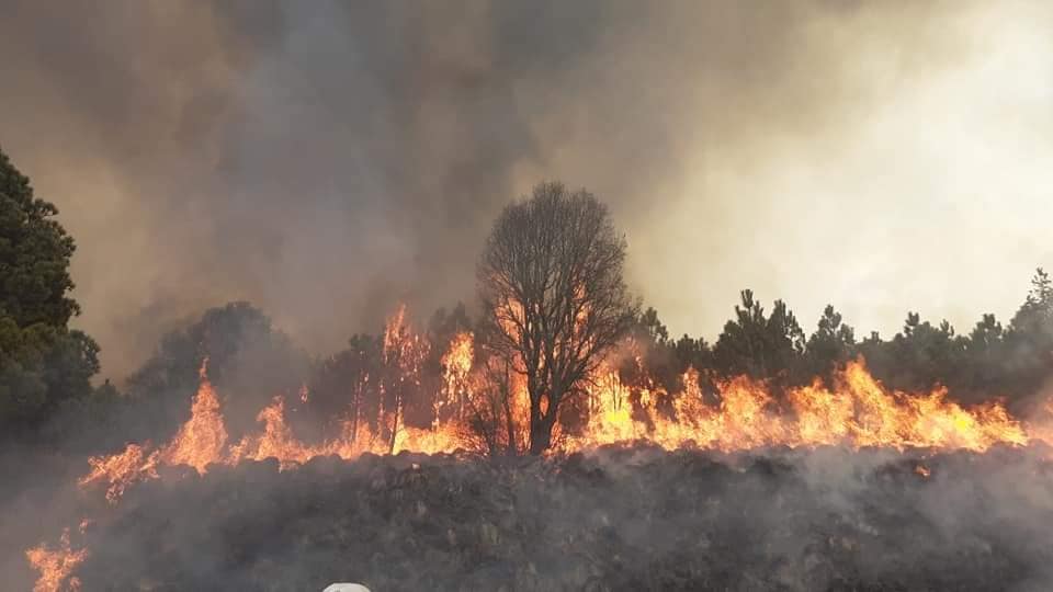   Desde el día de ayer un incendio provocado ataca las faldas del Parque Nacional Nevado de Toluca en la zona de “Mina Vijea”, ubicado en el área de bienes comunales Santiago Tlacotepec.  El incendio se habría provocado de manera irresponsable y su expansión de debió al viento, lo que ha causado daño a la zona forestal.             Lee: Faldas del Nevado de Toluca registraron incendio  Durante la tarde y noche de ayer, habitantes de la comunidad acudieron al monte a tratar de controlar el incendio sin éxito. Voluntarios se reunieron en el campo Tepetongo de donde partieron vehículos y víveres reunidos por la comunidad, para los combatientes del fuego.  A la zona que comprende 40 hectáreas forestales afectadas, se sumaron 30 Bomberos de Toluca; elementos de la Protectora de Bosques del Estado de México (PROBOSQUE), de la Comisión Nacional de Áreas Naturales Protegidas (CONANP) y de la Comisión Nacional Forestal (CONAFOR); 70 elementos, 8 binomios de la policía montada, y 40 cadetes de la Dirección General de Seguridad Pública; el Grupo de Rescate Aéreo “Relámpagos”; personal de la Dirección General de Servicios Públicos y Brigadas Comunales de Contadero, Calimaya y Texcalyacac.             Checa: Rescatan a visitantes del Nevado de Toluca; uno murió  Actualmente hay tres puntos activos, aunque el incendio ya está controlado, por lo que no representa un peligro.  Al respecto, el presidente municipal de Toluca, Juan Rodolfo Sánchez, señaló que ya se investiga la causa y responsables del incendio.             Te interesa: Autoridades de Toluca llaman a evitar quemas agropecuarias y de pastizales; advierten sobre multas  Asimismo hay que señalar que esta zona es de agricultura y que la gente acostumbra quemar el pasto para “limpiar” su parcela, así como realizan esta práctica con fines de caza, pues el fuego provoca que los animales salgan de sus hogares dentro del bosque.  Imagen portada: Santiago Tlacotepec