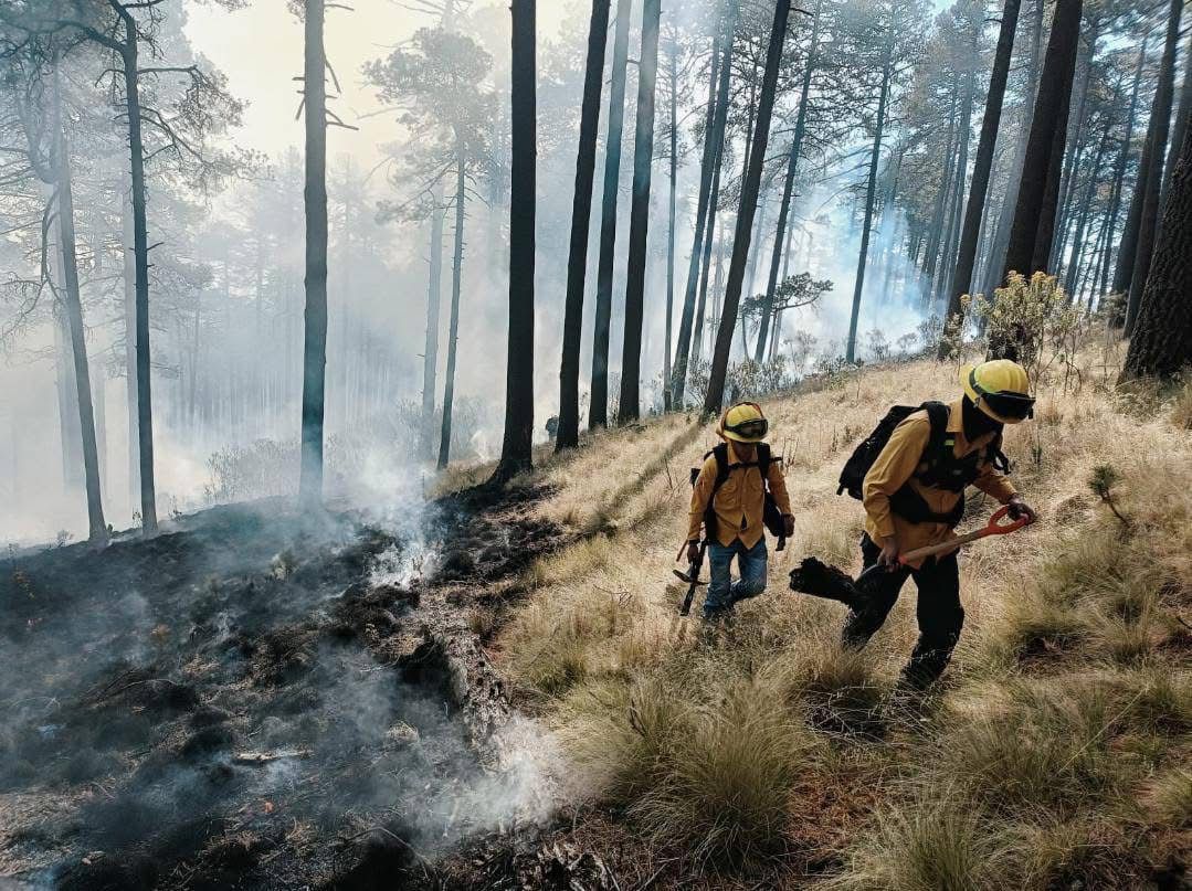 Nevado de Toluca ha sufrido un incendio durante dos días #regionmx