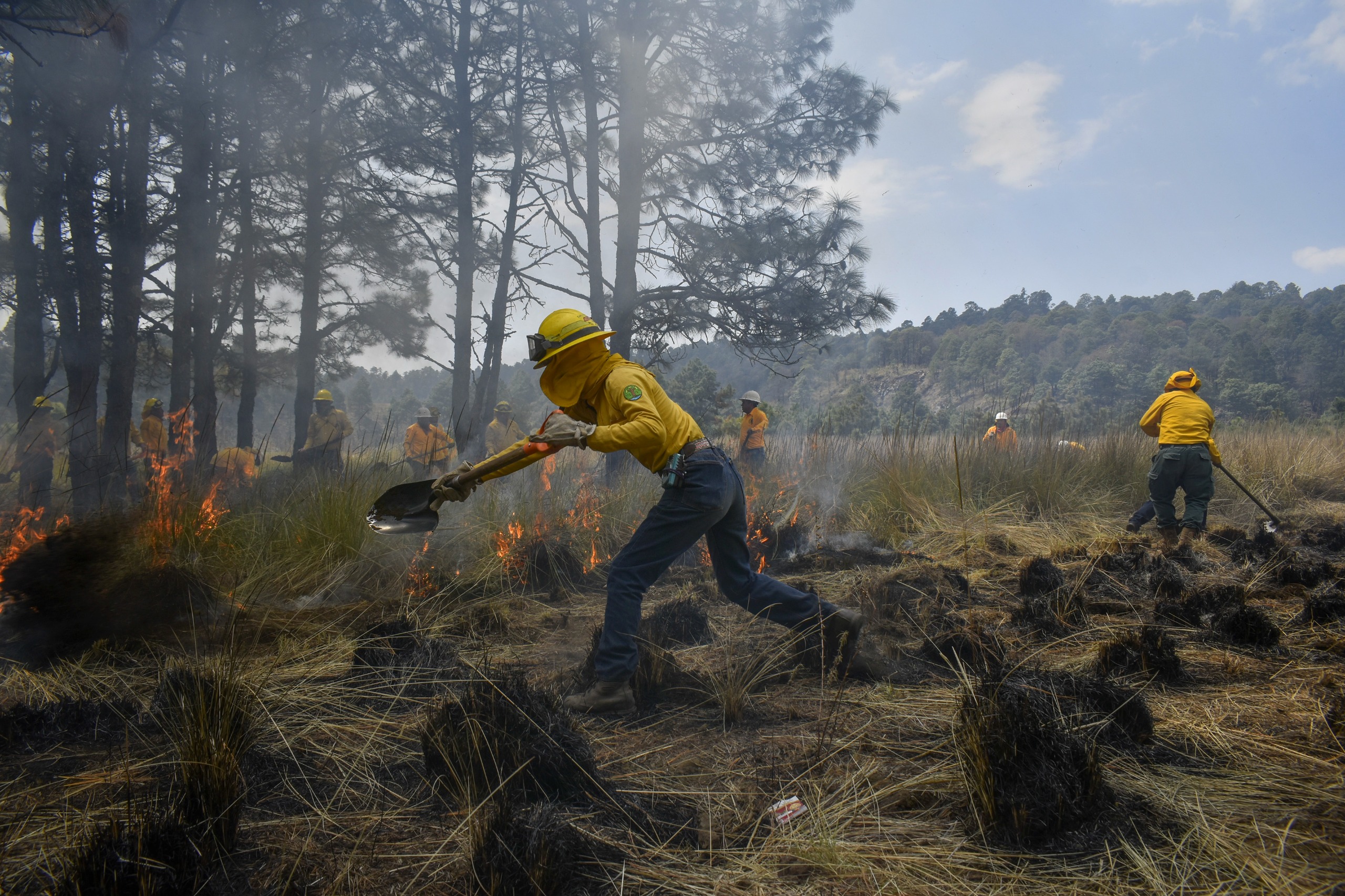 Gobierno del EdoMéx castigará hasta con 10 años de cárcel a quien provoque incendios forestales #regionmx 