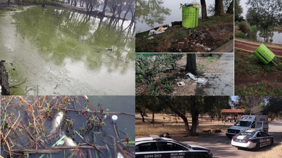 Más de 900 personas piden detener la muerte de flora y fauna en el Lago Espejo de los Lirios #regionmx