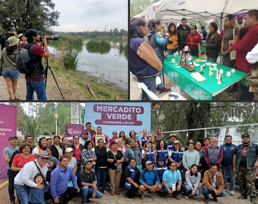 Promueve Izcalli a los emprendedores y medio ambiente con "Mercadito Verde" y "Pajareada" #regionmx 