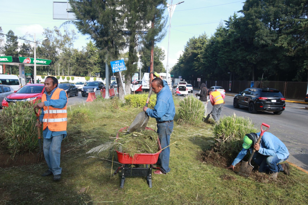 Realizan limpieza de camellón de Lomas Verdes #regionmx