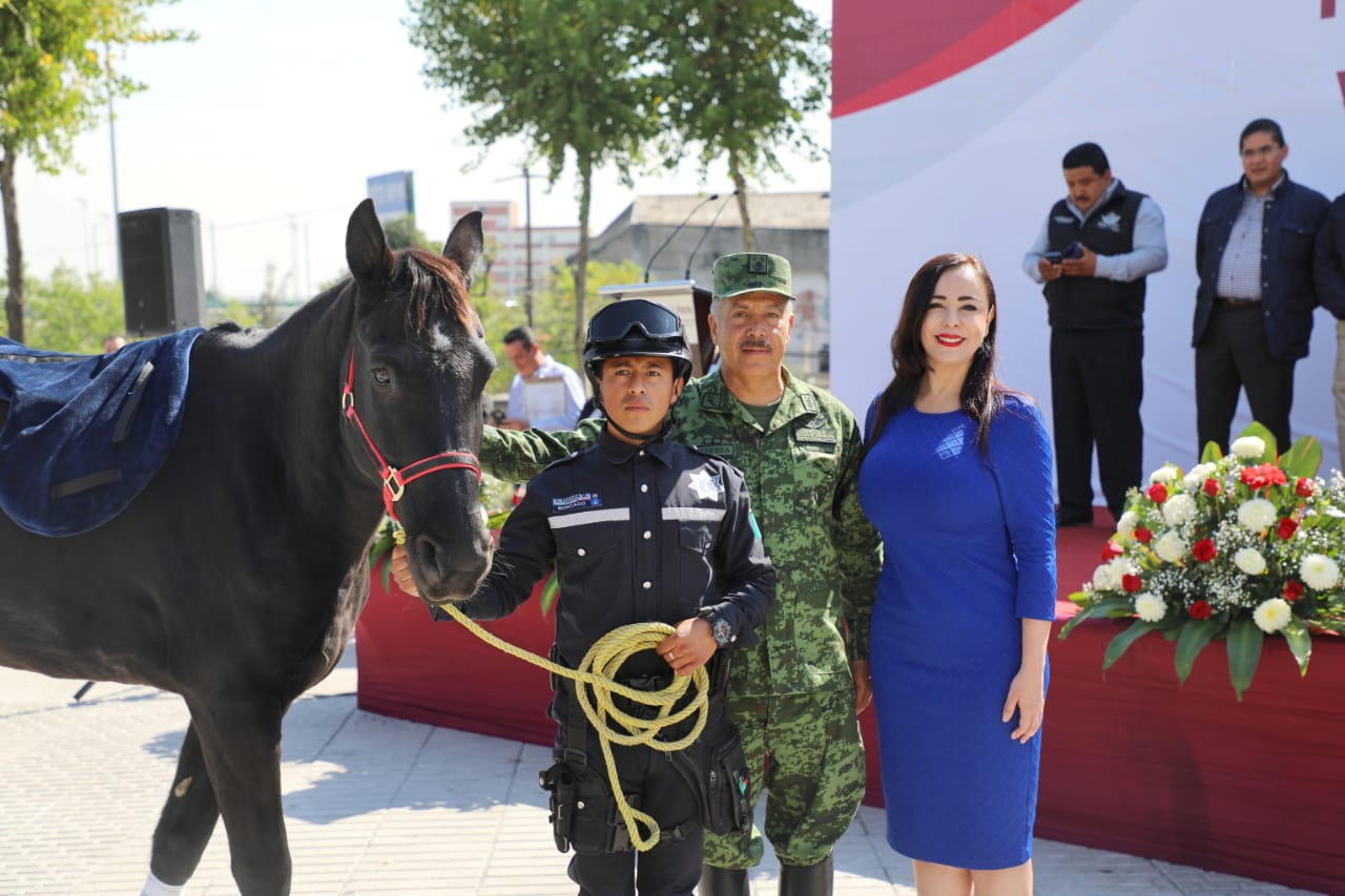 Caballos de la SEDENA se incorporan a la policía montada naucalpense #regionmx