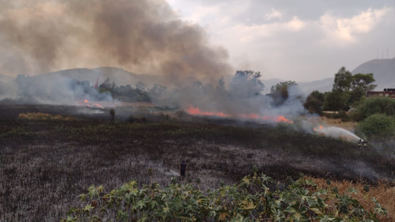 Se incendia pastizal aledaño al Vaso Regulador Carretas #regionmx