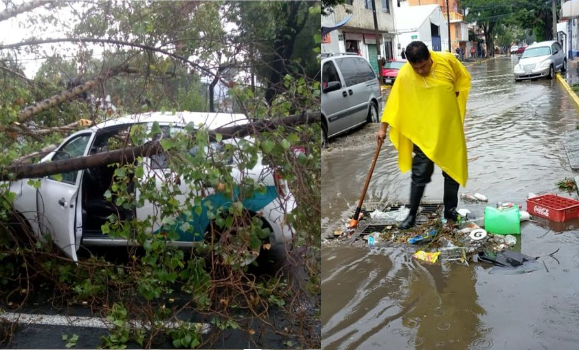 Inundaciones y árboles caídos en Tlalnepantla por lluvia #regionmx