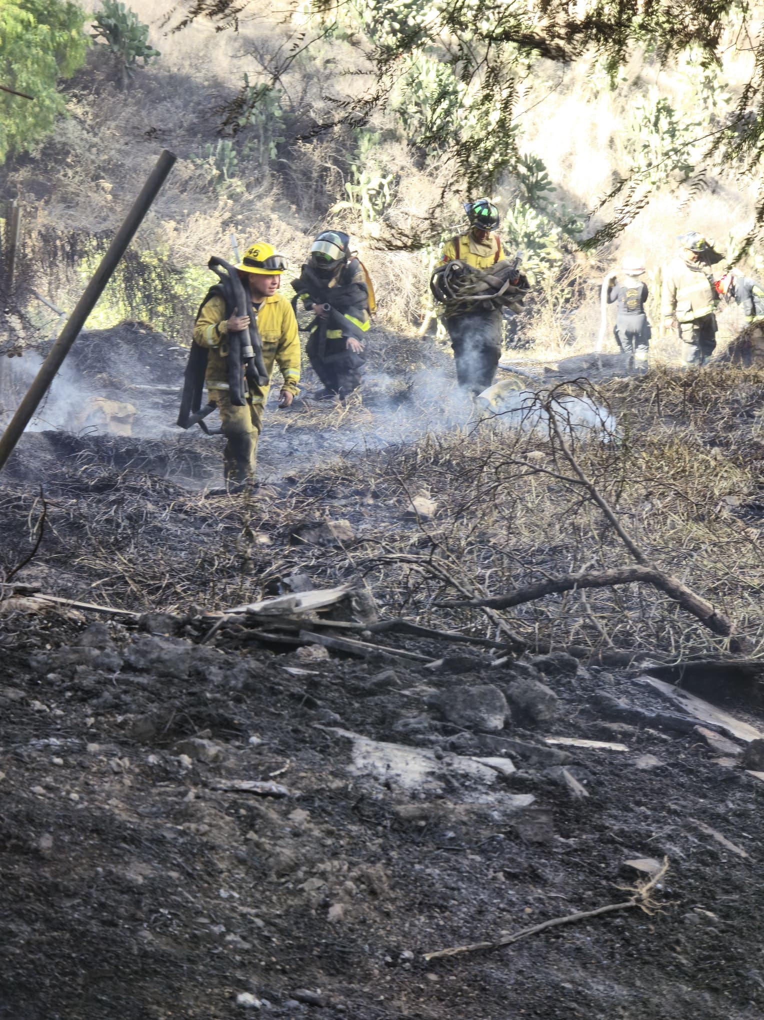 Pastizal en Lomas de Valle Dorado sufrió incendio #regionmx