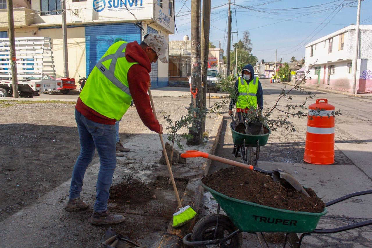 Intensifica Toluca trabajos de reforestación y forestación #regionmx