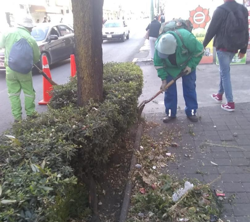 Continúan trabajos de limpieza en camellones y áreas verdes de Toluca #regionmx