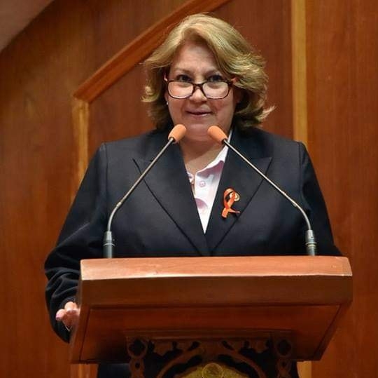 Diputada Crista Spohn deja el PT y se une al PAN; morena pierde mayoría en el Congreso #regionmx