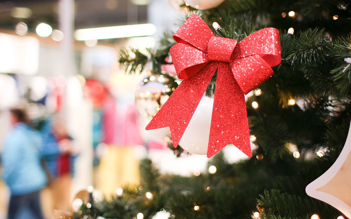 Ya puedes llevar tu árbol de Navidad para que sea transformado en abono en Naucalpan #regionmx