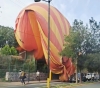 Se desploma globo aerostático en Teotihuacan #regionmx