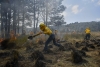 Gobierno del EdoMéx castigará hasta con 10 años de cárcel a quien provoque incendios forestales #regionmx 